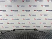 Stabilisator hinten