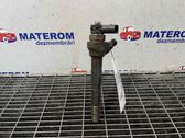 Injektor Einspritzdüse