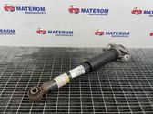 Rear shock absorber/damper