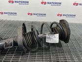 Front coil spring