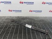 Front bonnet/hood damper/strut