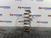 Rear coil spring