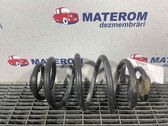 Muelle espiral trasero