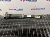 Rear shock absorber/damper