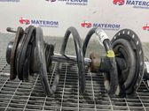 Front coil spring