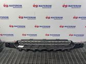 Front bumper lower grill