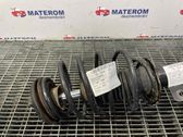 Front coil spring