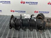 Front coil spring