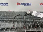 Faisceau de câblage pour moteur