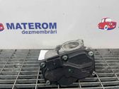 Throttle body valve