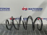 Front coil spring