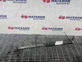 Amortiguador/puntal del maletero/compartimento de carga