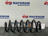 Rear coil spring
