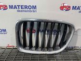 Front bumper upper radiator grill