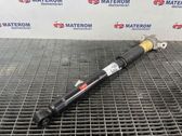 Rear shock absorber/damper