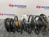 Front coil spring