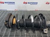 Front coil spring