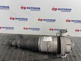 Rear shock absorber/damper