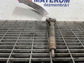 Injektor Einspritzdüse