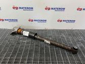 Rear shock absorber/damper