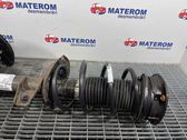 Front coil spring