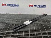 Tailgate/trunk strut/damper