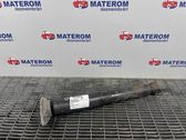 Rear shock absorber/damper