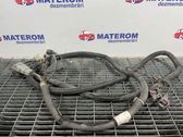 Engine installation wiring loom
