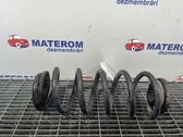 Rear coil spring