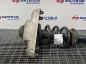 Front coil spring