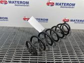 Rear coil spring