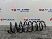 Rear coil spring