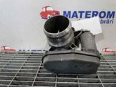 Throttle body valve
