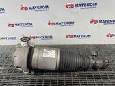 Rear shock absorber/damper