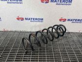 Muelle espiral trasero