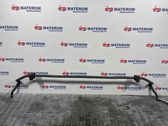 Stabilisator hinten