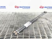 Tailgate/trunk strut/damper