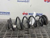 Rear coil spring