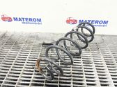 Rear coil spring