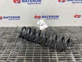 Rear coil spring