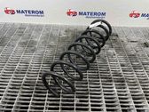 Rear coil spring