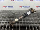 Rear shock absorber/damper