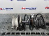 Front coil spring