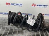 Front coil spring