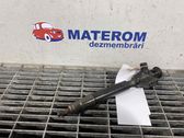 Injektor Einspritzdüse
