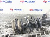 Front coil spring