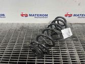Rear coil spring