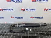 Tailgate/trunk strut/damper
