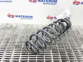 Rear coil spring