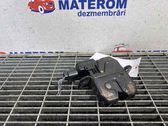Alerón del maletero ventana trasera